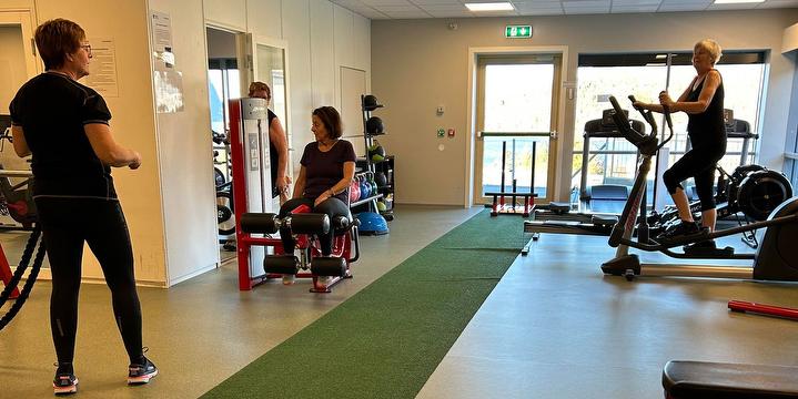 Bilde/illustrasjon for Aktiv på dagtid Aktiv på dagtid